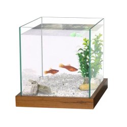 Akvárium Barna Keret+1kg Homok+Dekornövény 20x20x20cm