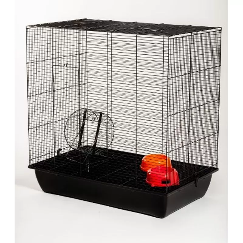 Ketrec Squirrel Color 80 Mókus 780x480x855mm