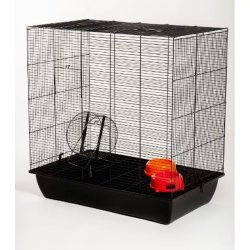 Ketrec Squirrel Color 80 Mókus 780x480x855mm
