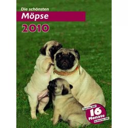 Trixie Naptár Mops