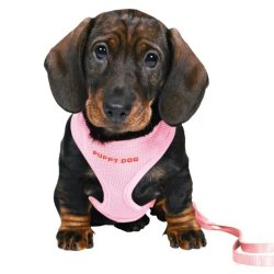 Trixie Kölyökszett Hámmal Rózsaszín 26-34cm/2m/10mm