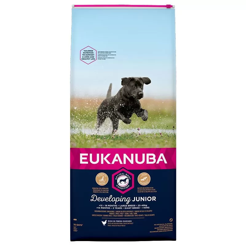 Eukanuba Junior Large 12kg
