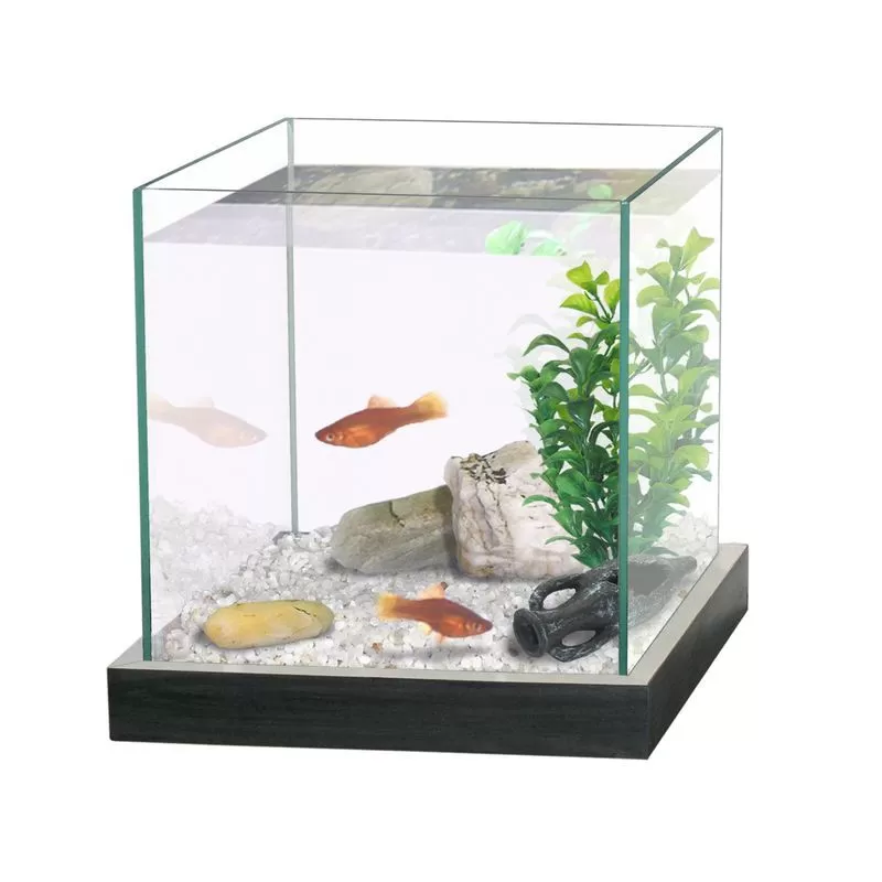 Akvárium Fekete Keret+1kg Homok+Dekornövény 20x20x20cm