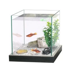 Akvárium Fekete Keret+1kg Homok+Dekornövény 20x20x20cm