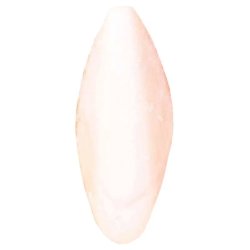 Trixie Csőrkoptató 5-15cm (vegyes szortiment)