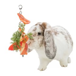 Trixie Gyümölcs Tartó Rágcsálónak Fém 25cm