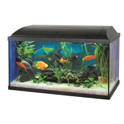Pacific Akvárium Szett+Szűrő+Fűtő 54l, 60x30x30cm