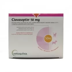Clavaseptin 50 mg ízesített tabletta 100x