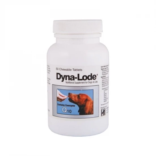 Dyna-Lode tabletta 50x