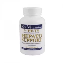 Hepato Support tabletta 90x